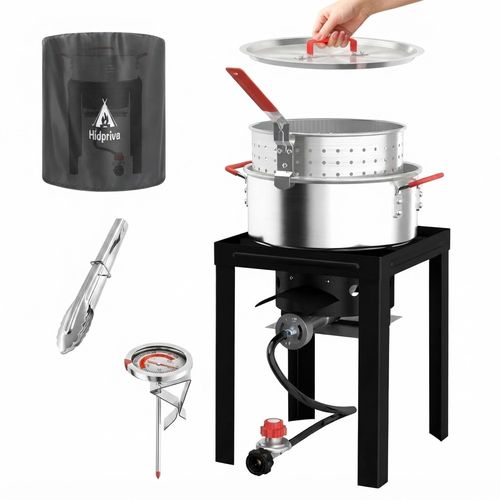 10QT Propane Fish Fryer with Basket, Cover, Lid & Tongs